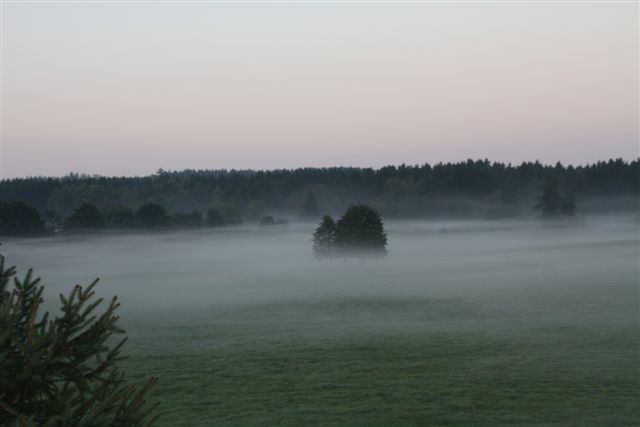 Nebel überm Weiherteil